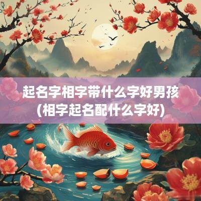起名字相字带什么字好男孩(相字起名配什么字好)