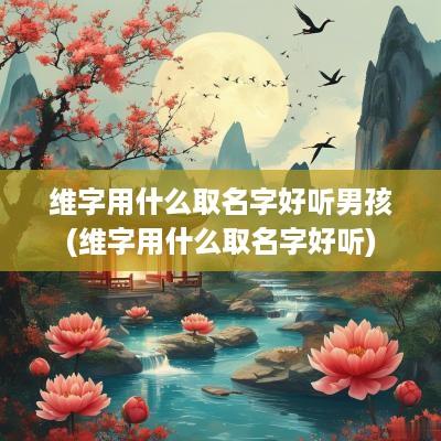 维字用什么取名字好听男孩(维字用什么取名字好听)