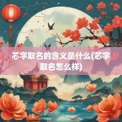 芯字取名的含义是什么(芯字取名怎么样)