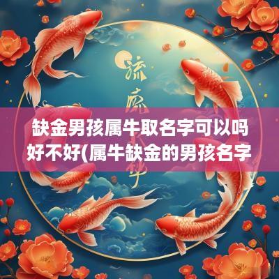 缺金男孩属牛取名字可以吗好不好(属牛缺金的男孩名字大全集)