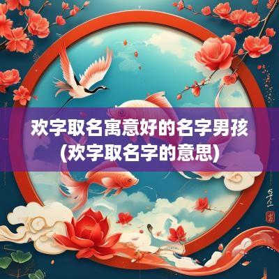 欢字取名寓意好的名字男孩(欢字取名字的意思)