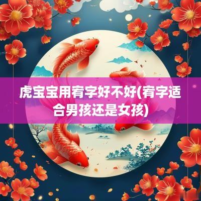 虎宝宝用宥字好不好(宥字适合男孩还是女孩)