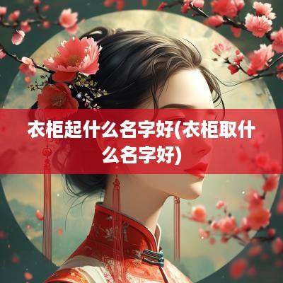 衣柜起什么名字好(衣柜取什么名字好)