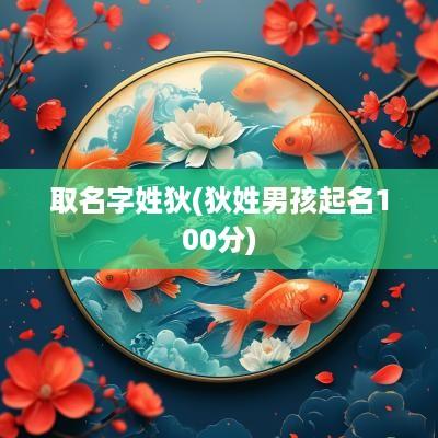 取名字姓狄(狄姓男孩起名100分)