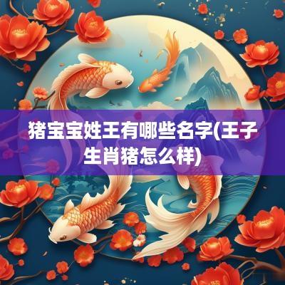 猪宝宝姓王有哪些名字(王子生肖猪怎么样)