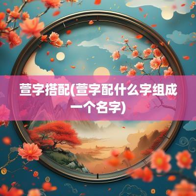 萱字搭配(萱字配什么字组成一个名字)