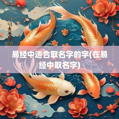 易经中适合取名字的字(在易经中取名字)