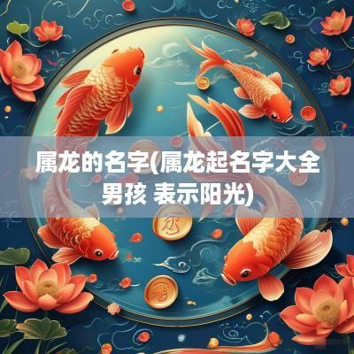 属龙的名字(属龙起名字大全男孩 表示阳光)