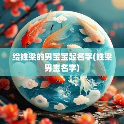 给姓梁的男宝宝起名字(姓梁男宝名字)