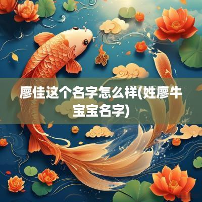 廖佳这个名字怎么样(姓廖牛宝宝名字)