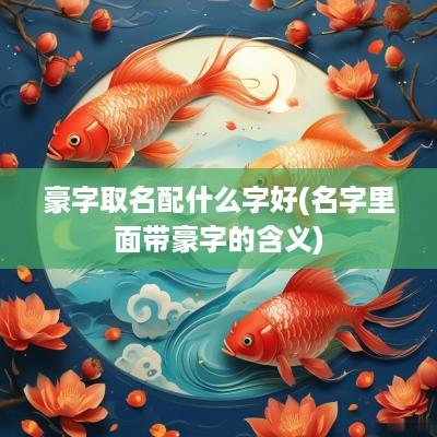 豪字取名配什么字好(名字里面带豪字的含义)