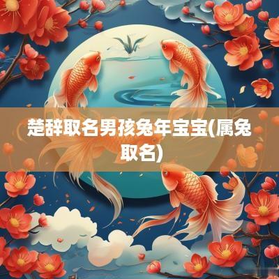 楚辞取名男孩蛇年宝宝(属兔 取名)
