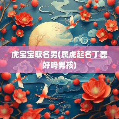 虎宝宝取名男(属虎起名丁磊好吗男孩)