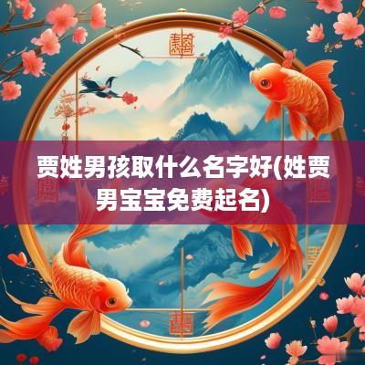 贾姓男孩取什么名字好(姓贾男宝宝免费起名)