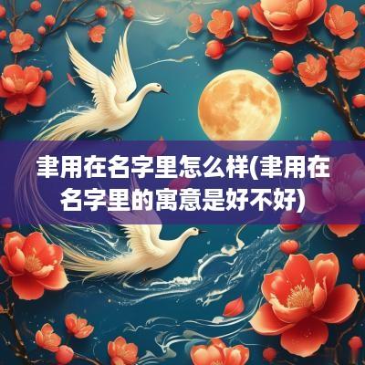 聿用在名字里怎么样(聿用在名字里的寓意是好不好)