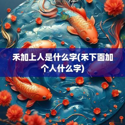禾加上人是什么字(禾下面加个人什么字)