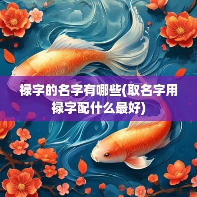 禄字的名字有哪些(取名字用禄字配什么最好)