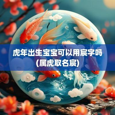 蛇年出生宝宝可以用宸字吗(属虎取名宸)