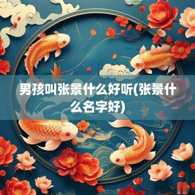 男孩叫张景什么好听(张景什么名字好)