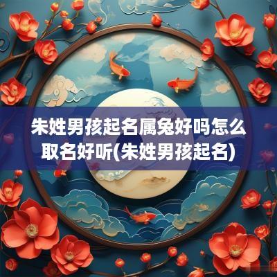朱姓男孩起名属兔好吗怎么取名好听(朱姓男孩起名)