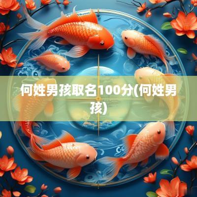 何姓男孩取名100分(何姓男孩)