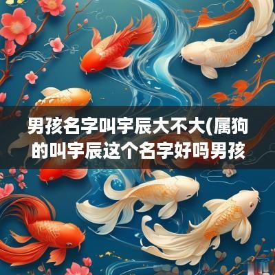 男孩名字叫宇辰大不大(属狗的叫宇辰这个名字好吗男孩)