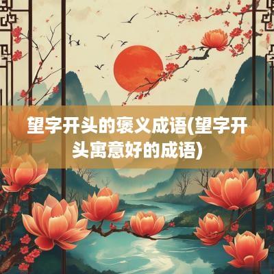 望字开头的褒义成语(望字开头寓意好的成语)