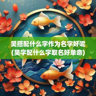 昊搭配什么字作为名字好呢(昊字配什么字取名好单命)