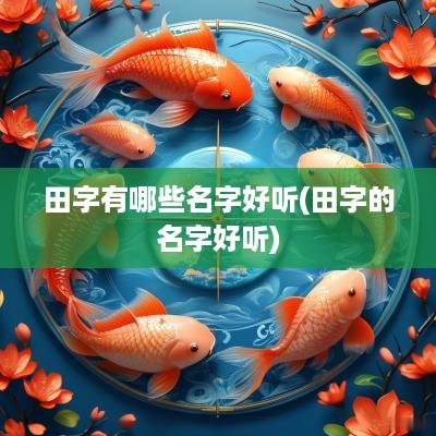 田字有哪些名字好听(田字的名字好听)