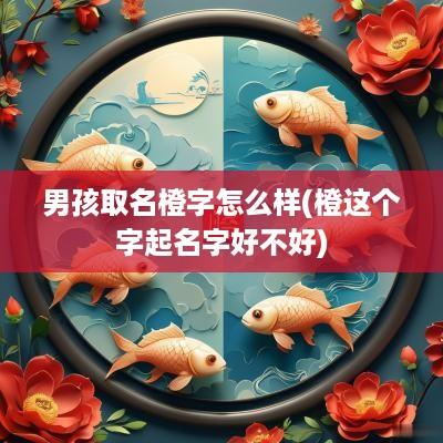 男孩取名橙字怎么样(橙这个字起名字好不好)