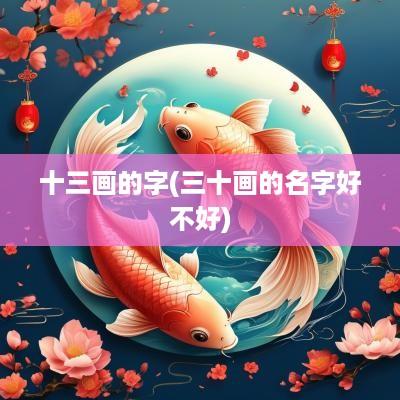 十三画的字(三十画的名字好不好)