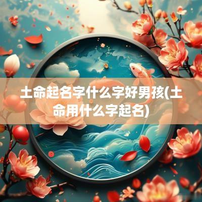 土命起名字什么字好男孩(土命用什么字起名)