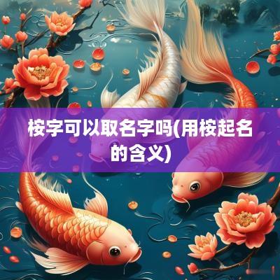 桉字可以取名字吗(用桉起名的含义)