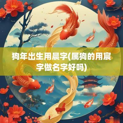 狗年出生用晨字(属狗的用宸字做名字好吗)