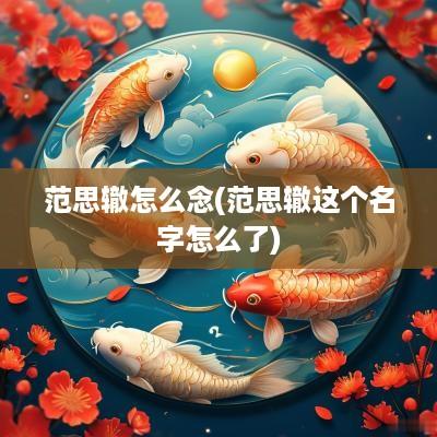 范思辙怎么念(范思辙这个名字怎么了)