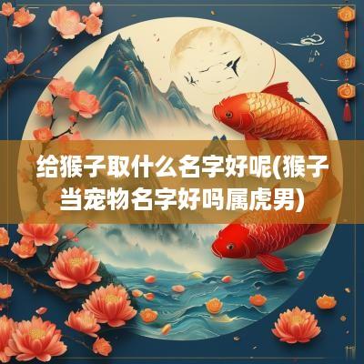 给猴子取什么名字好呢(猴子当宠物名字好吗属虎男)