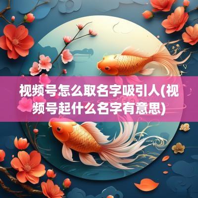 视频号怎么取名字吸引人(视频号起什么名字有意思)