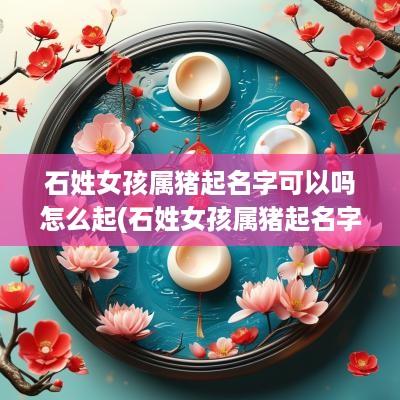 石姓女孩属猪起名字可以吗怎么起(石姓女孩属猪起名字可以吗好听吗)