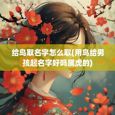 给鸟取名字怎么取(用鸟给男孩起名字好吗属虎的)