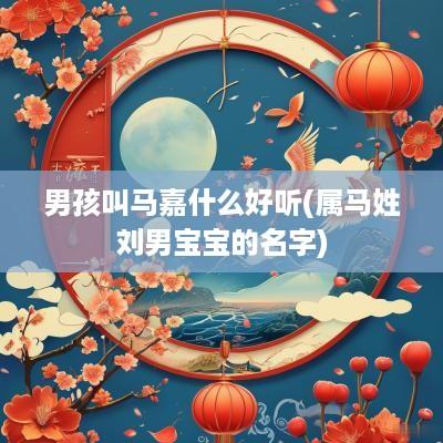 男孩叫马嘉什么好听(属马姓刘男宝宝的名字)