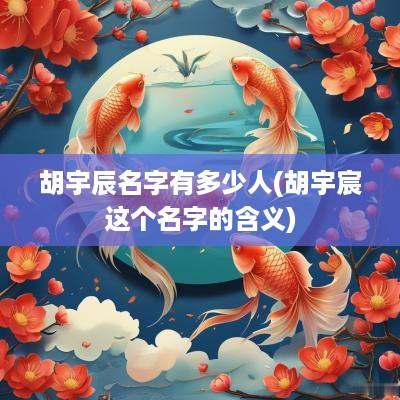 胡宇辰名字有多少人(胡宇宸这个名字的含义)