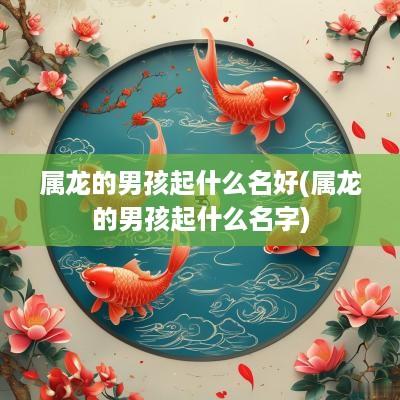 属龙的男孩起什么名好(属龙的男孩起什么名字)