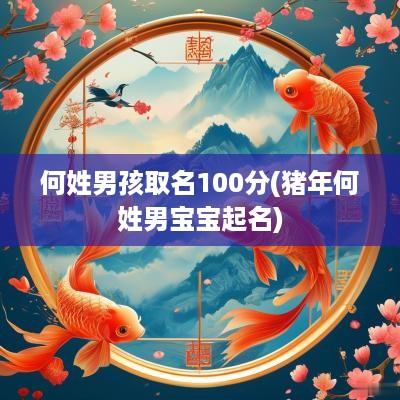 何姓男孩取名100分(猪年何姓男宝宝起名)