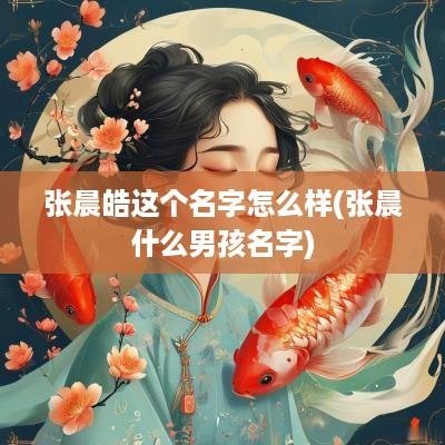张晨皓这个名字怎么样(张晨什么男孩名字)