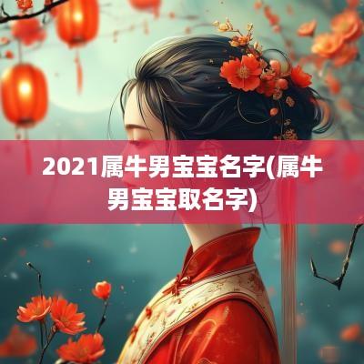 2025属牛男宝宝名字(属牛男宝宝取名字)