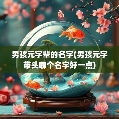 男孩元字辈的名字(男孩元字带头哪个名字好一点)