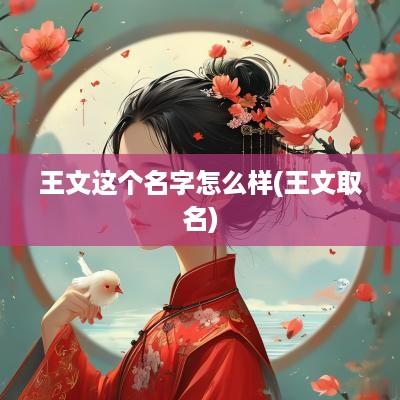 王文这个名字怎么样(王文取名)