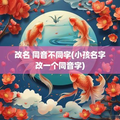 改名 同音不同字(小孩名字改一个同音字)