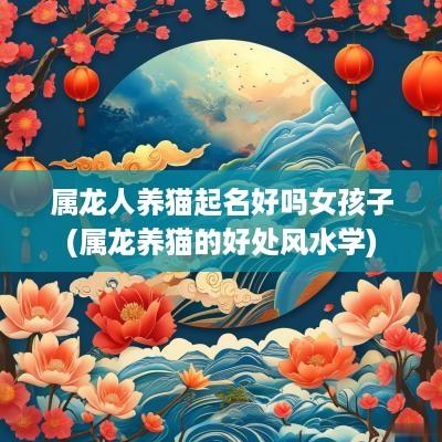 属龙人养猫起名好吗女孩子(属龙养猫的好处风水学)