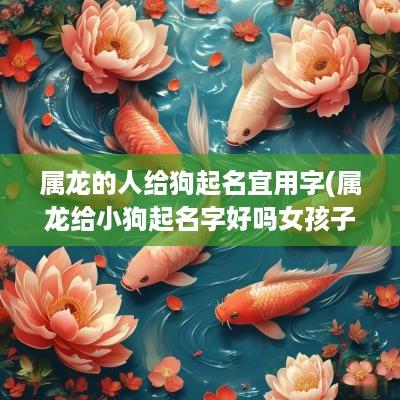 属龙的人给狗起名宜用字(属龙给小狗起名字好吗女孩子)
